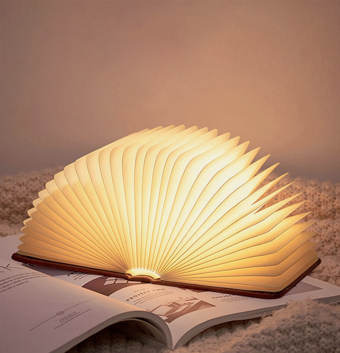 Tranquil Illumination Book Lamp - Gifteal