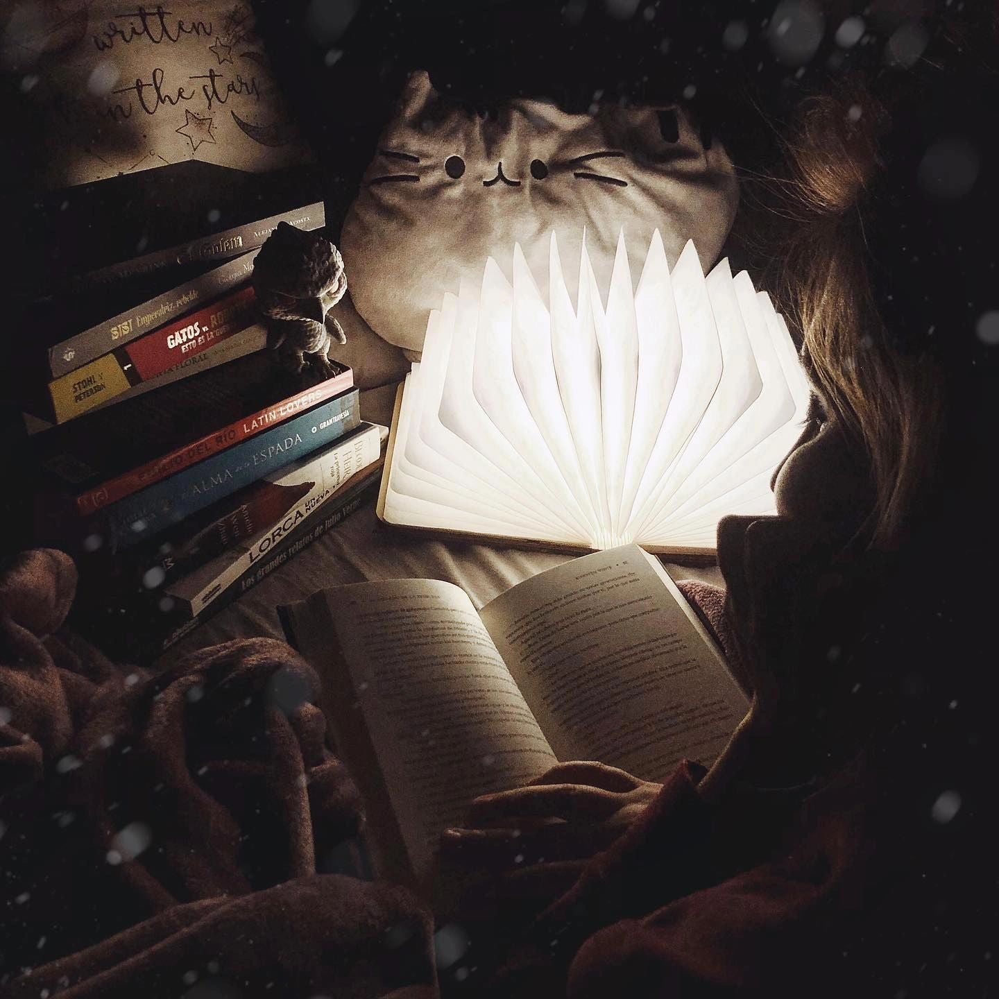 Tranquil Illumination Book Lamp - Gifteal